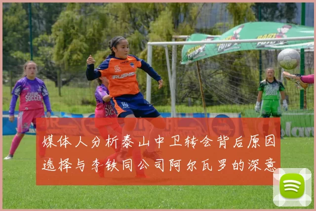 媒体人分析泰山中卫转会背后原因选择与李铁同公司阿尔瓦罗的深意