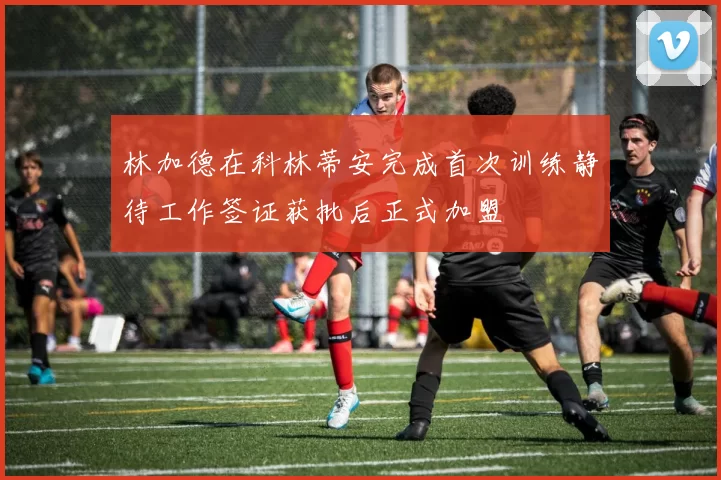 林加德在科林蒂安完成首次训练静待工作签证获批后正式加盟